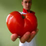 personal-chef-tomato